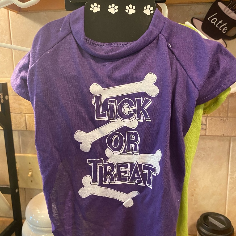 Pet costume